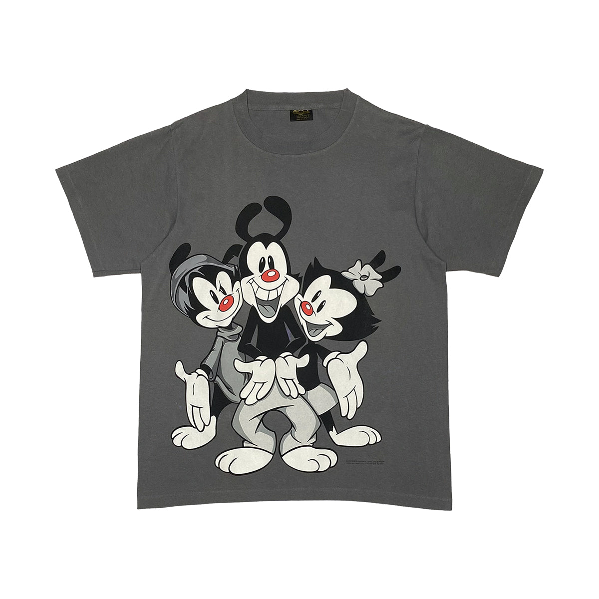 Animaniacs - Yakko's Brothers Tee L Grey/Multi