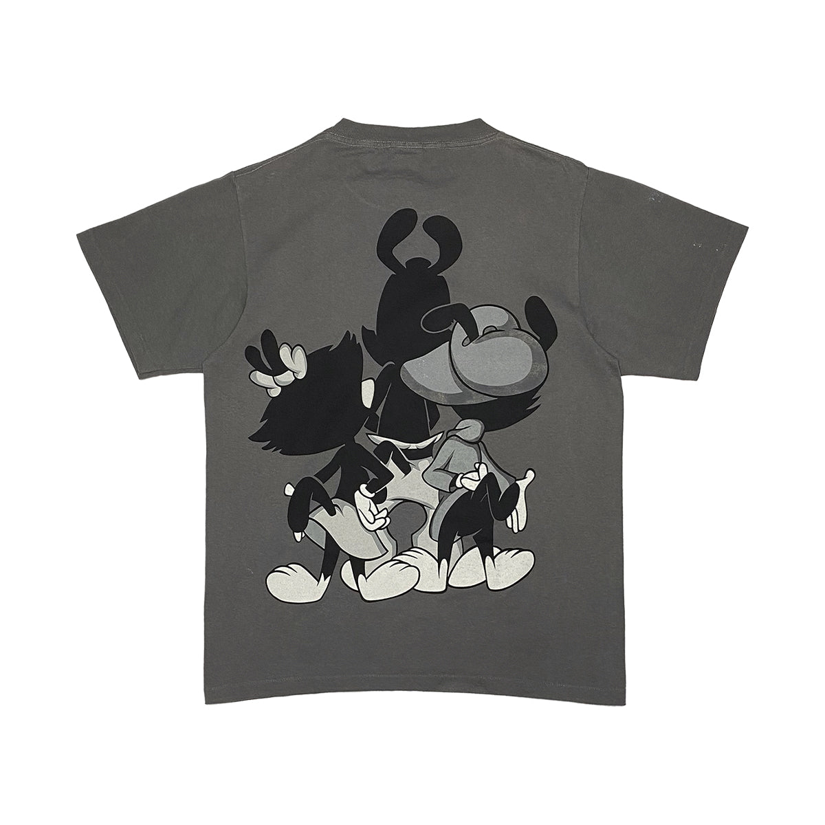 Animaniacs - Yakko's Brothers Tee L Grey/Multi