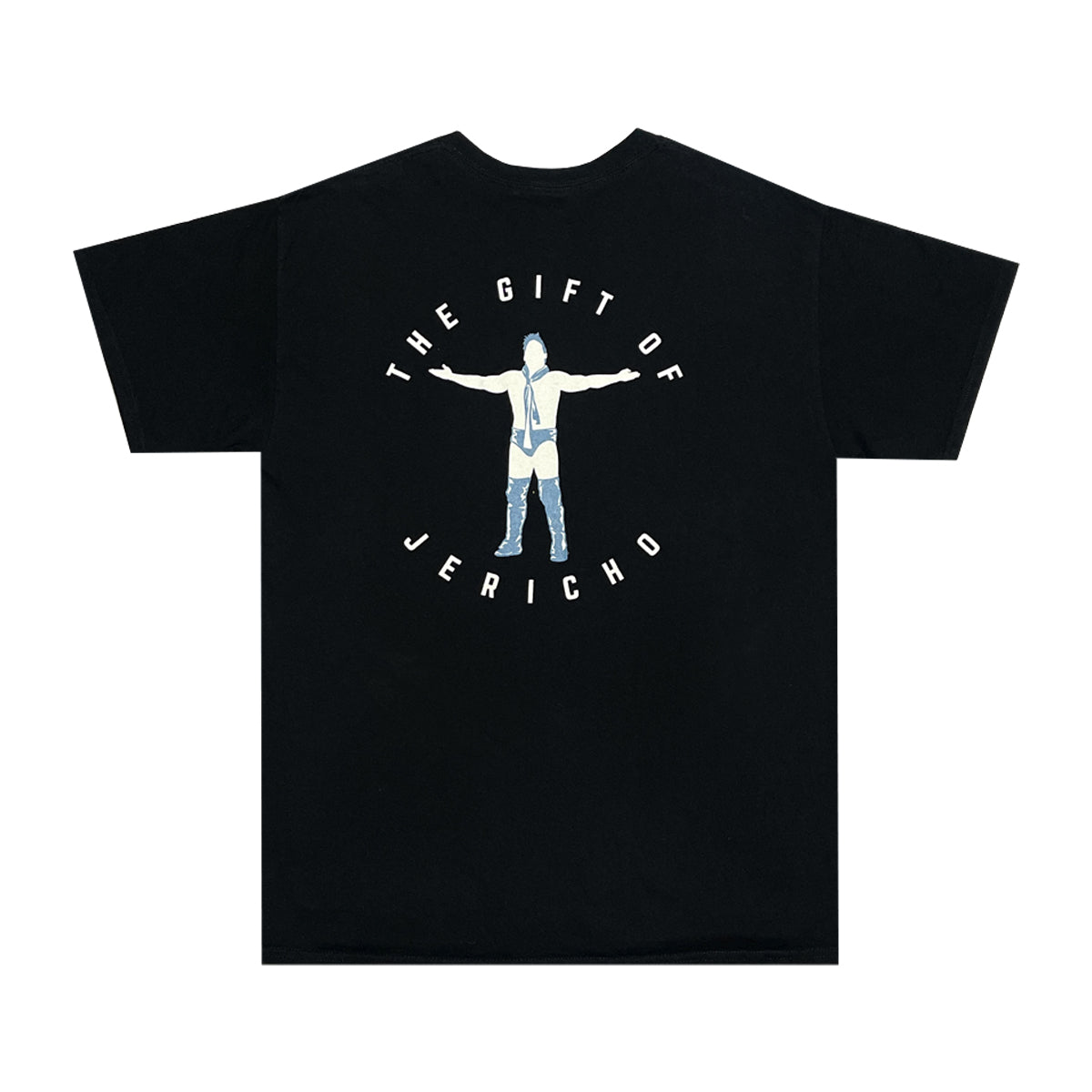 WWE - Jericho Tee L Black/Blue